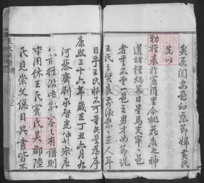 湖北省黄冈市黄州区王氏族谱-王氏族谱.pdf电子版预览图3