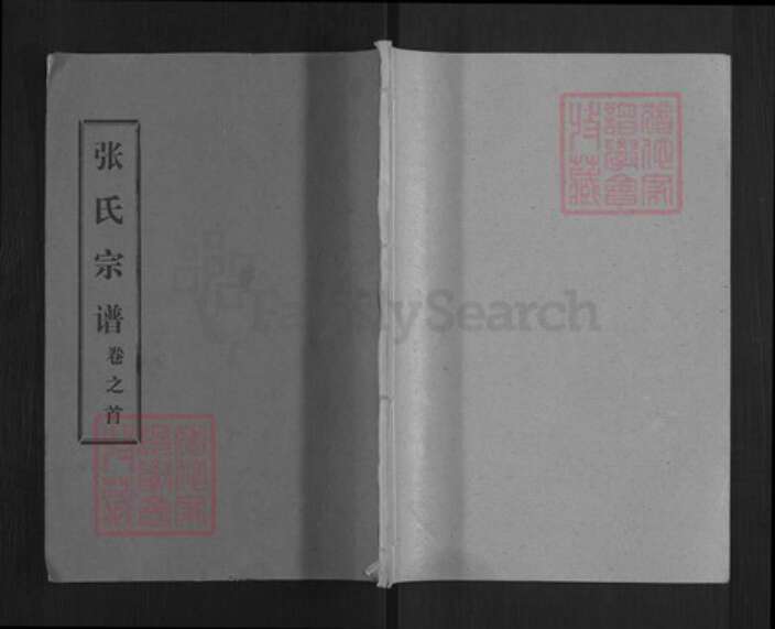 湖北省武汉市新洲区张氏百忍堂族谱-张氏宗谱.pdf电子版缩略图