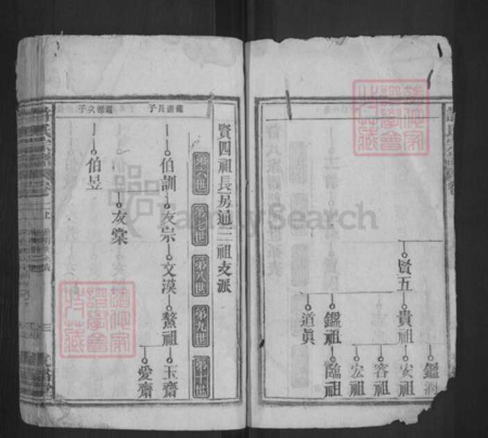 安徽省安庆市宿松县许氏光裕堂族谱-许氏宗谱.pdf电子版预览图3