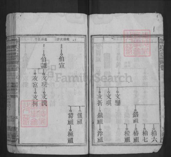 安徽省安庆市宿松县许氏光裕堂族谱-许氏宗谱.pdf电子版预览图5