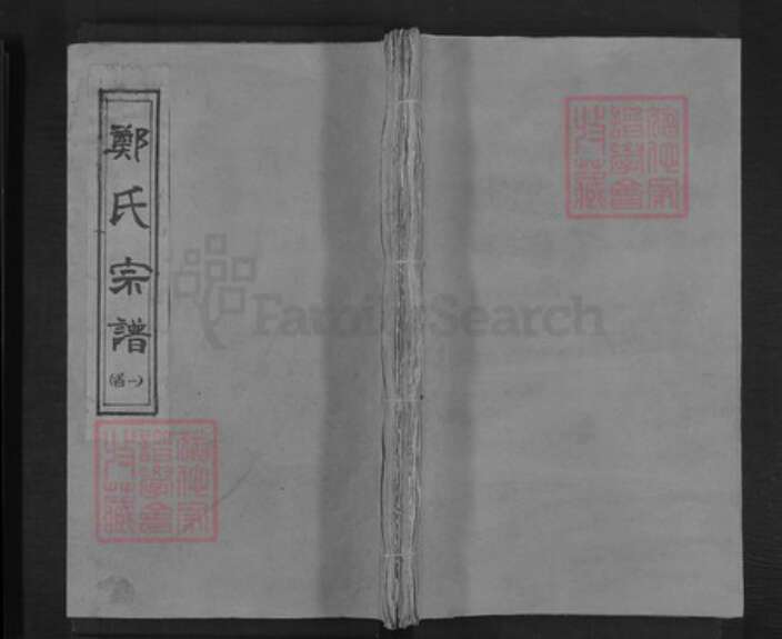 湖北省咸宁市通山县通羊镇郑氏通德堂族谱-郑氏宗谱.pdf电子版缩略图