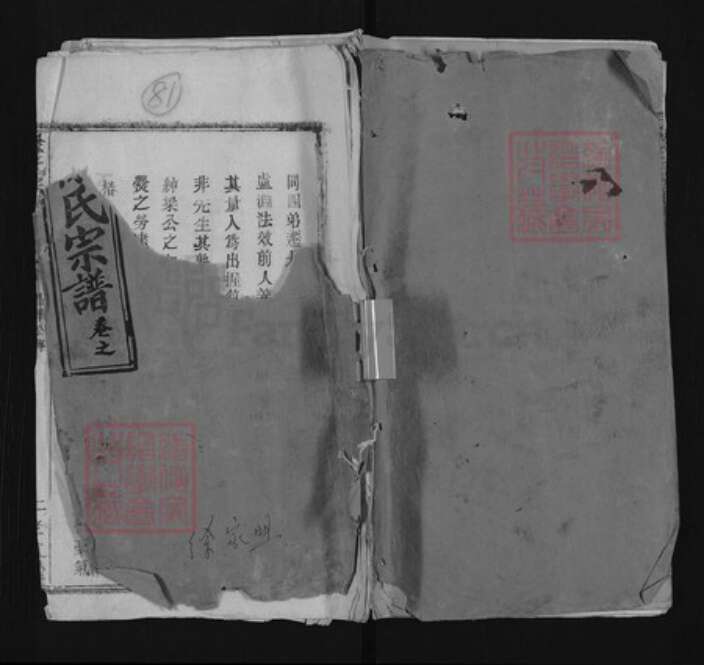 湖北省黄冈市徐氏孝友堂族谱-徐氏宗谱.pdf电子版缩略图