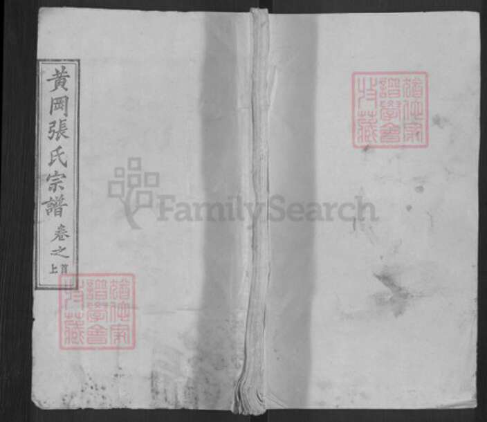 湖北省武汉市新洲区张氏金鉴堂族谱-黄冈张氏宗谱.pdf电子版缩略图