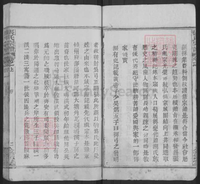 湖北省武汉市新洲区张氏金鉴堂族谱-黄冈张氏宗谱.pdf电子版预览图2