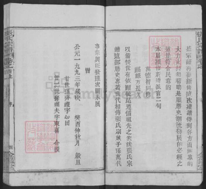 湖北省武汉市新洲区张氏金鉴堂族谱-黄冈张氏宗谱.pdf电子版预览图4