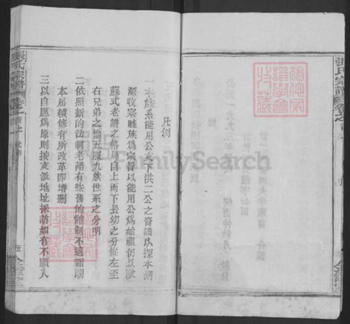 湖北省武汉市新洲区张氏金鉴堂族谱-黄冈张氏宗谱.pdf电子版预览图5