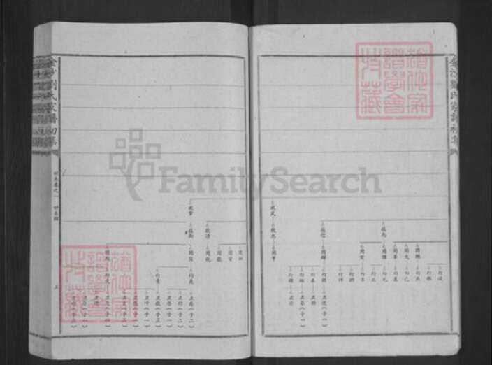 江西省宜春市高安市筠阳街道刘氏族谱-金沙刘氏家谱.pdf电子版预览图5