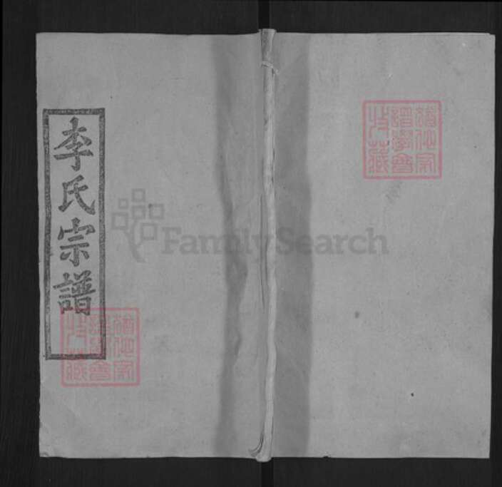 湖北省武汉市新洲区李氏青莲堂族谱-李氏宗谱.pdf电子版缩略图