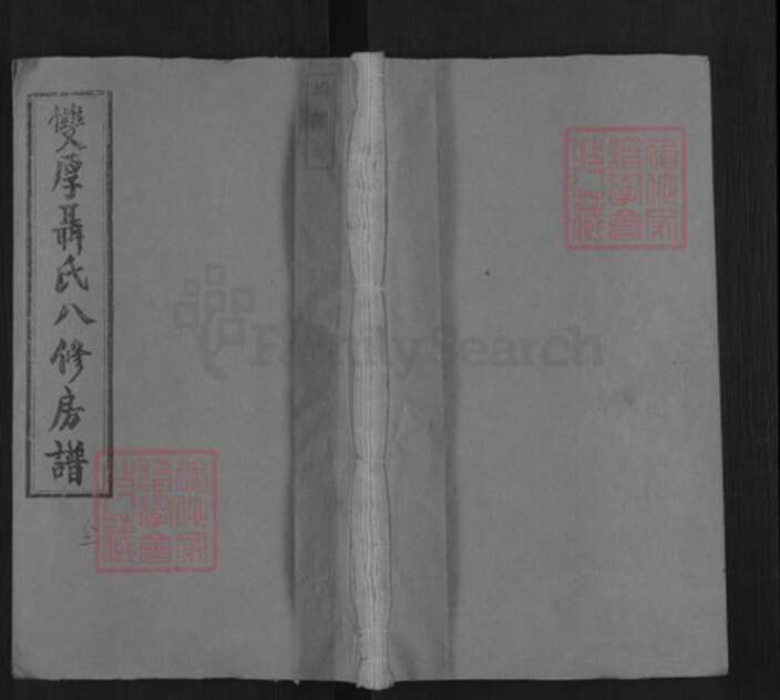 湖南省衡阳市衡阳县金兰镇聂氏垂裕堂族谱-双厚聂氏八修房谱.pdf电子版缩略图