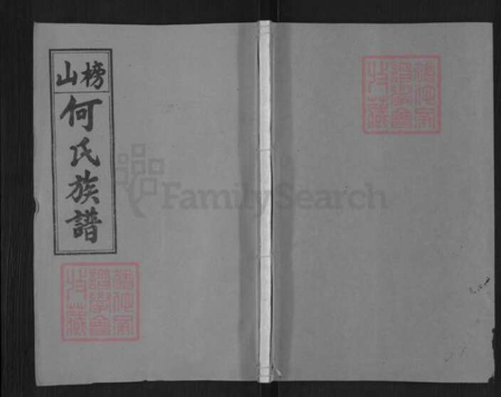 湖南省长沙市浏阳市金刚镇何氏九九堂族谱-浏阳榜山何氏族谱.pdf电子版缩略图