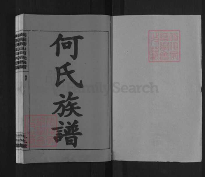 湖南省长沙市浏阳市金刚镇何氏九九堂族谱-浏阳榜山何氏族谱.pdf电子版预览图1