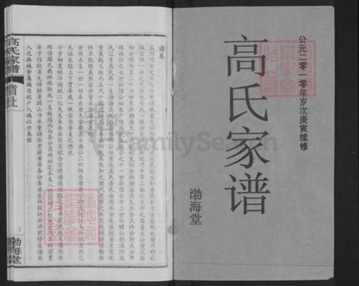 湖北省黄冈市高氏渤海堂族谱-高氏家谱.pdf电子版预览图1