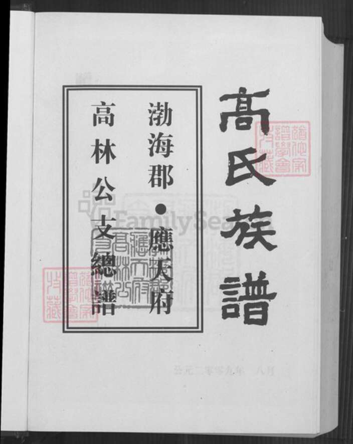 贵州省毕节市大方县大方镇高氏族谱-高氏族谱.勃海郡.应天府高林公支总谱.pdf电子版预览图2