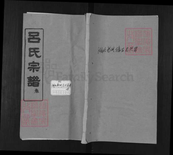 湖北省武汉市新洲区吕氏敦本堂族谱-吕氏宗谱.pdf电子版缩略图