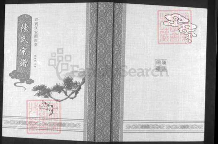 四川省绵阳市安县陈氏颍川堂族谱-陈氏宗谱.pdf电子版缩略图