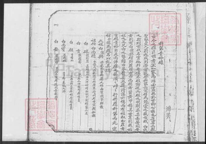 福建省泉州市安溪县龙门镇白氏族谱-白氏族谱.pdf电子版预览图3