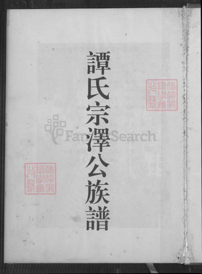 广东省云浮市罗定市谭氏族谱-谭氏宗泽公族谱.pdf电子版预览图2