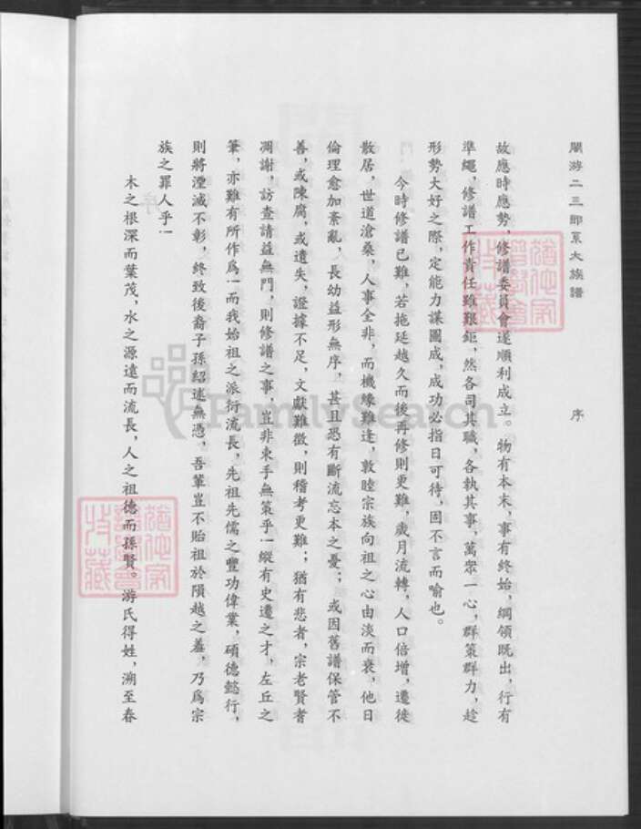 福建省龙岩市上杭县稔田镇游氏立雪堂族谱-闽游二三郎系大族谱.pdf电子版预览图5