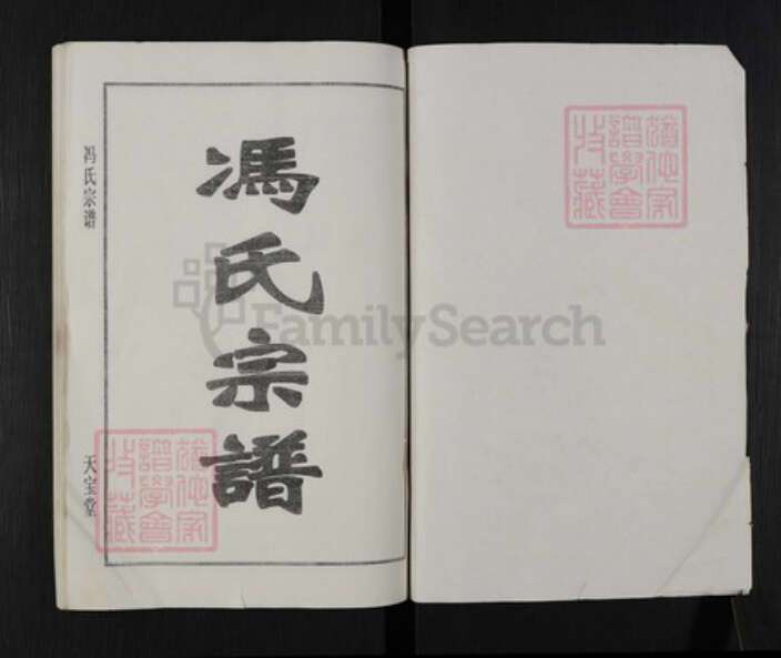 湖北省黄冈市团风县冯氏天宝堂族谱-冯氏宗谱.pdf电子版预览图1