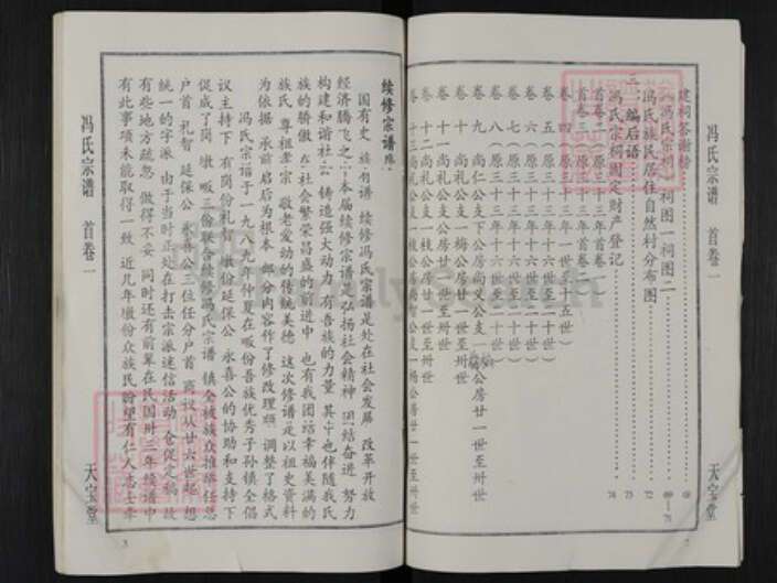 湖北省黄冈市团风县冯氏天宝堂族谱-冯氏宗谱.pdf电子版预览图3