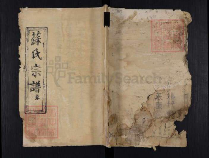 湖北省黄冈市麻城市苏氏敦伦堂族谱-苏氏宗谱.pdf电子版缩略图