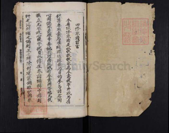 湖北省黄冈市麻城市苏氏敦伦堂族谱-苏氏宗谱.pdf电子版预览图1