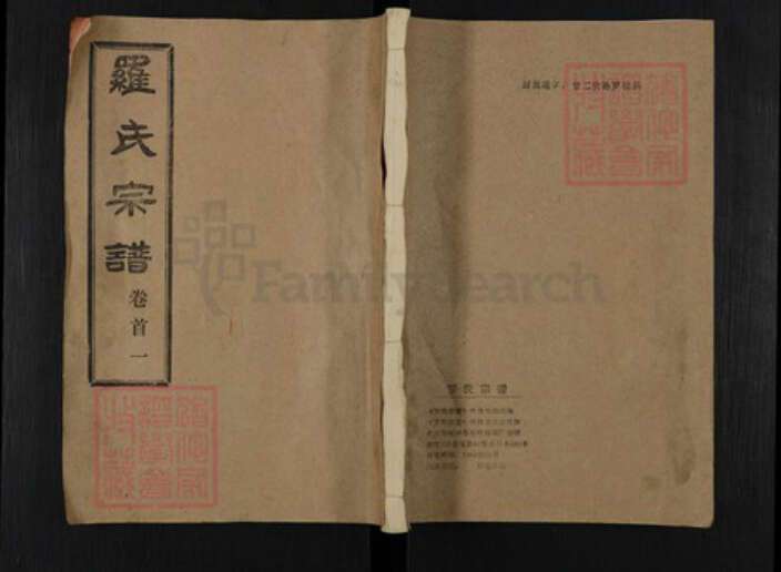 湖北省武汉市新洲区罗氏柏林堂族谱-罗氏宗谱.pdf电子版缩略图