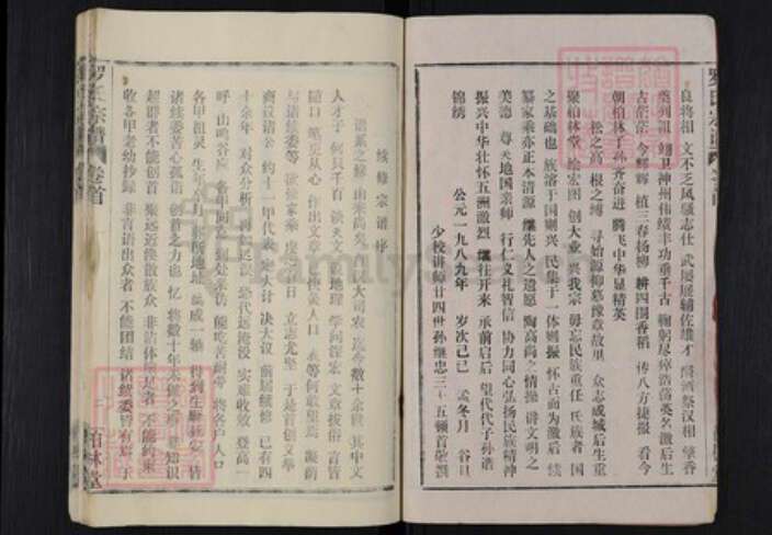 湖北省武汉市新洲区罗氏柏林堂族谱-罗氏宗谱.pdf电子版预览图2