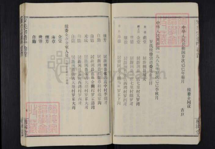 湖北省武汉市新洲区罗氏柏林堂族谱-罗氏宗谱.pdf电子版预览图4