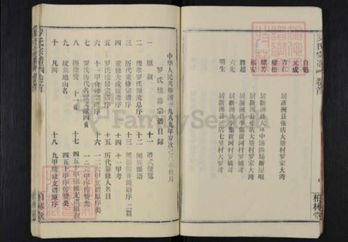 湖北省武汉市新洲区罗氏柏林堂族谱-罗氏宗谱.pdf电子版预览图5