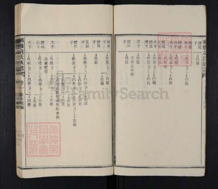 湖南省郴州市桂阳县黄氏族谱-郴县黄氏族谱.pdf电子版预览图3