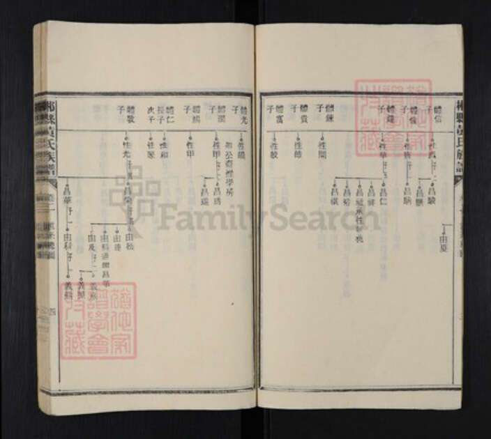 湖南省郴州市桂阳县黄氏族谱-郴县黄氏族谱.pdf电子版预览图4