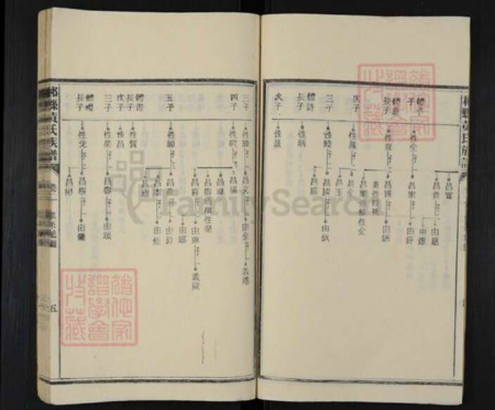 湖南省郴州市桂阳县黄氏族谱-郴县黄氏族谱.pdf电子版预览图5