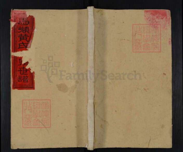 湖南省邵阳市邵阳县河伯乡黄氏无双堂族谱-马岭黄氏世谱.pdf电子版缩略图