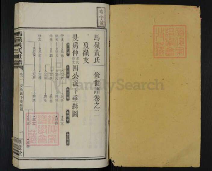 湖南省邵阳市邵阳县河伯乡黄氏无双堂族谱-马岭黄氏世谱.pdf电子版预览图1