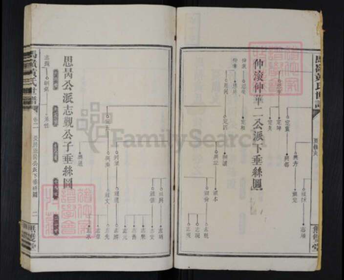 湖南省邵阳市邵阳县河伯乡黄氏无双堂族谱-马岭黄氏世谱.pdf电子版预览图2