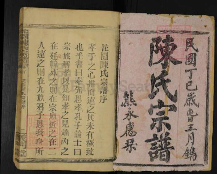 湖北省孝感市汉川市沉湖镇陈氏义门堂族谱-花园陈氏宗谱.pdf电子版预览图1
