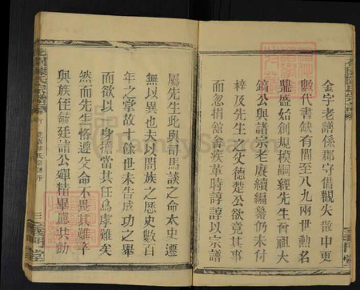 湖北省孝感市汉川市沉湖镇陈氏义门堂族谱-花园陈氏宗谱.pdf电子版预览图3