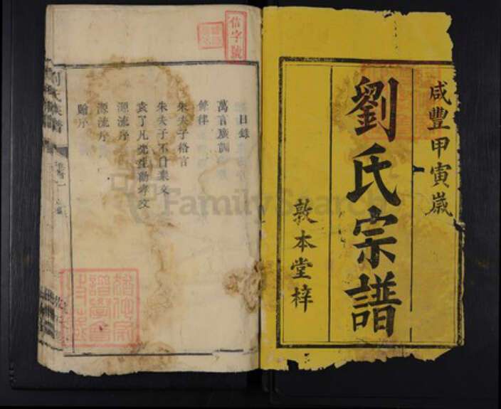 湖南省衡阳市刘氏敦本堂族谱-刘氏族谱.pdf电子版预览图1