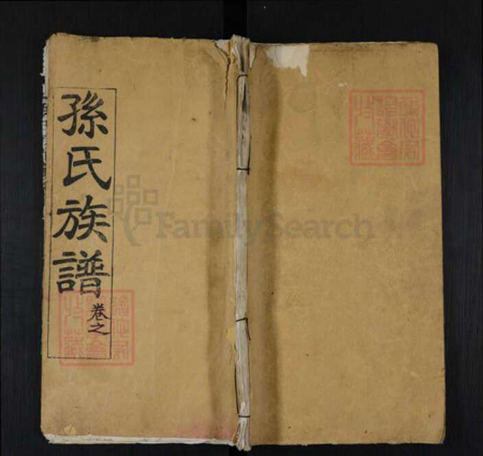 湖北省武汉市蔡甸区孙氏族谱-孙氏族谱.pdf电子版缩略图