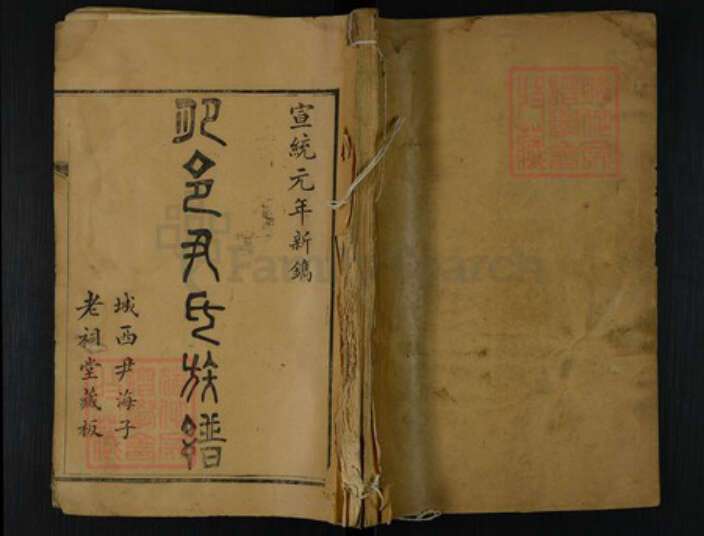 山东省泰安市肥城市尹氏族谱-肥邑尹氏族谱.pdf电子版缩略图