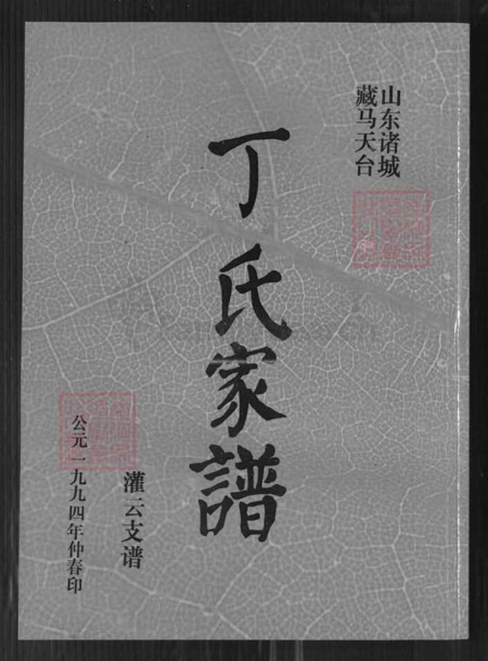 山东省潍坊市诸城市丁氏寻源堂族谱-丁氏家谱. 灌云支谱.pdf电子版缩略图