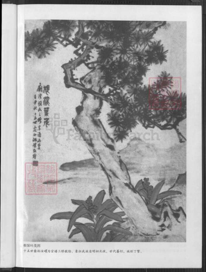 江苏省盐城市阜宁县顾氏惇叙堂族谱-庙湾顾氏宗谱.pdf电子版预览图4