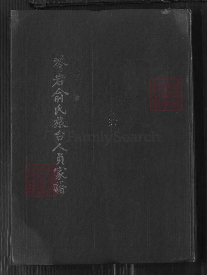浙江省绍兴嵊州市俞氏族谱-苍岩俞氏族台人员家谱.pdf电子版缩略图