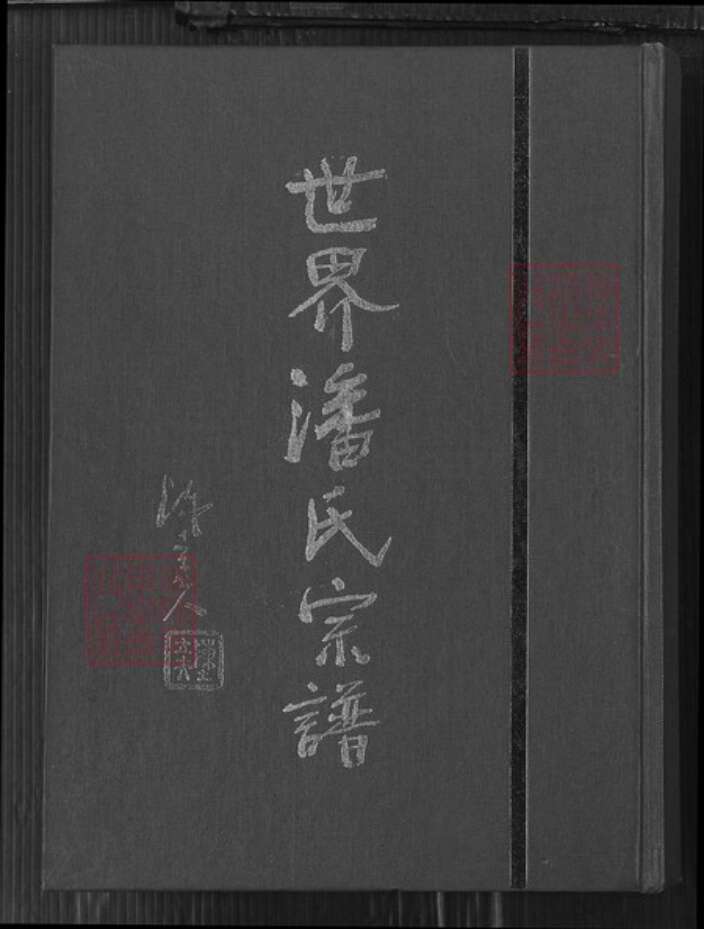 河南省郑州市荥阳市王村镇潘氏族谱-世界潘氏宗谱.pdf电子版缩略图