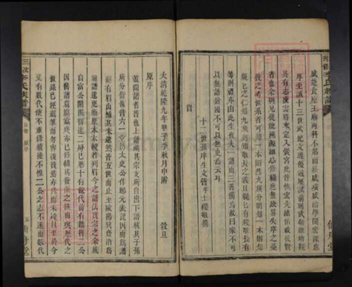 湖南省湘潭市雨湖区李氏仙舟堂族谱-三次刊修李氏族谱.pdf电子版预览图5