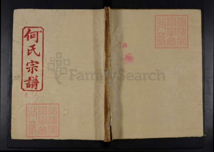 湖北省黄冈市黄梅县何氏九井堂族谱-何氏宗谱.pdf电子版缩略图