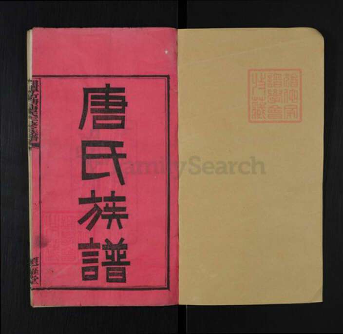 湖南省湘潭市湘乡市翻江镇唐氏题雁堂族谱-湘潭古塘唐氏三修族谱.pdf电子版预览图1