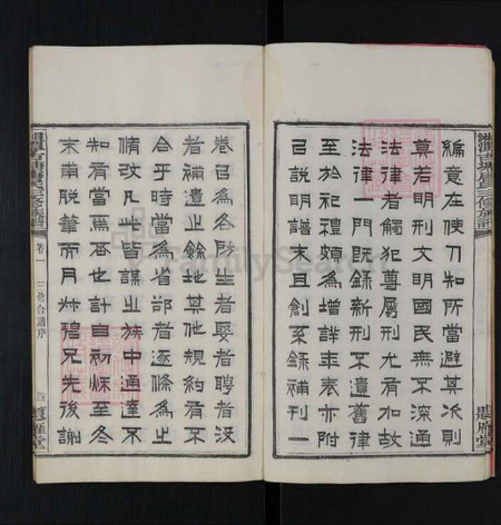 湖南省湘潭市湘乡市翻江镇唐氏题雁堂族谱-湘潭古塘唐氏三修族谱.pdf电子版预览图5