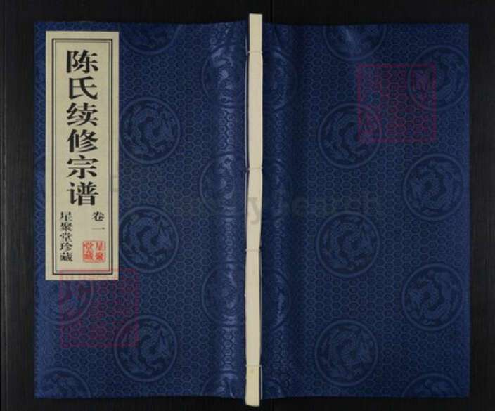 江苏省常州市武进县湟里镇陈氏星聚堂族谱-陈氏续修宗谱.pdf电子版缩略图